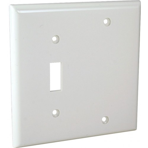 2-G WALL PLATE - SWITCH/BLANK