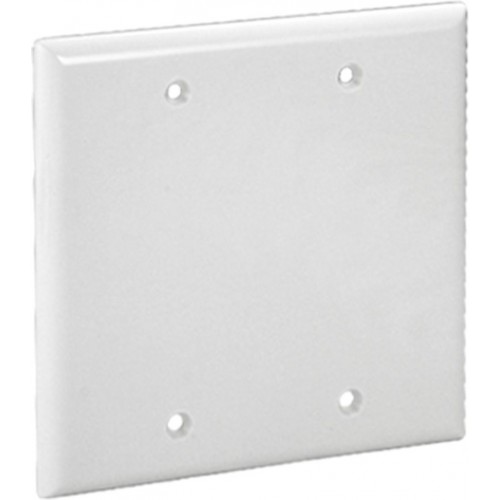 2-G WALL PLATE - BLANK IVORY
