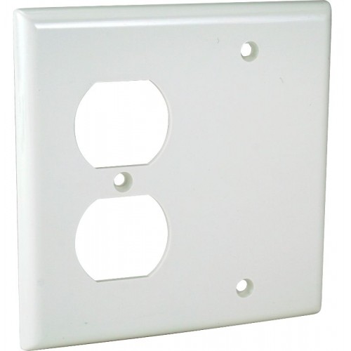 2-G WALL PLATE - DUPLEX/BLANK